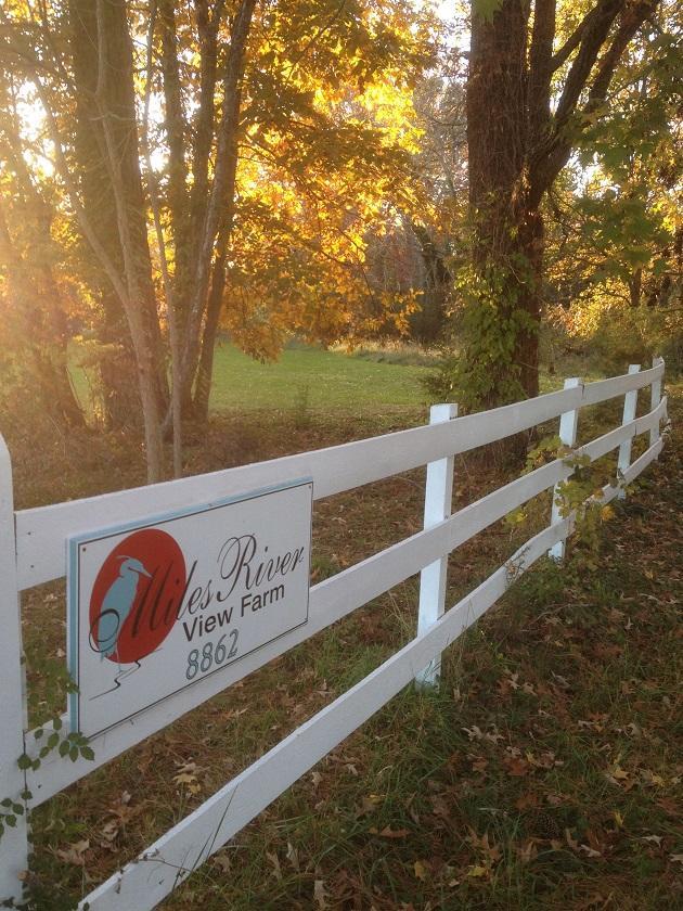 Miles River Guest House Easton Exterior photo